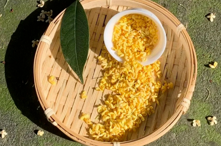 291761744199144144.png image.png